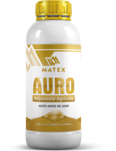 Auro